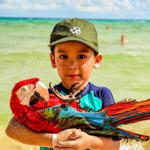 Meet your Posher, Nely